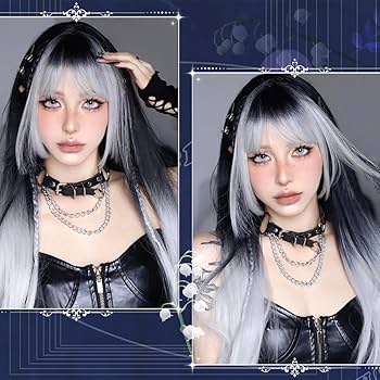 Amazon.com : QWIFCMJF Hime Cut Split Dye Wig Long Straight